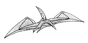 Pteranodon de papiroflexia